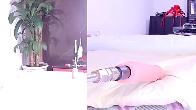 Sophia Lovers01 online show from 2, 3, 2026