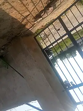 Snapshot of rjxraj chatting on 23, 10, 2025 rjxraj online show from 23, 10, 2025