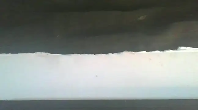 sllife online show from 6, 1, 2025