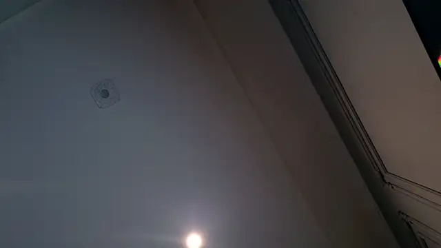 Snapshot of Liv_Fay chatting on 28, 12, 2024 Liv Fay online show from 28, 12, 2024