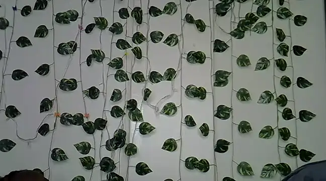 Snapshot of sexybree_ chatting on 23, 1, 2025 sexybree  online show from 23, 1, 2025