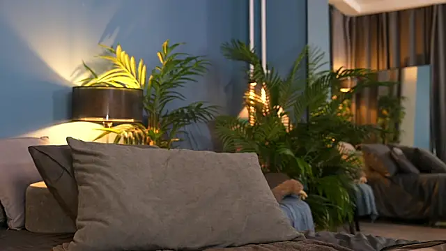 Snapshot of _keeti_ chatting on 1, 11, 2025 keeti online show from 1, 11, 2025