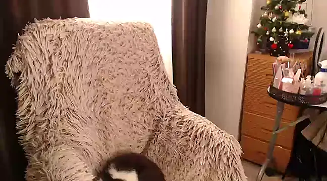 Snapshot of Goddessmxx chatting on 13, 12, 2024 Goddessmxx online show from 13, 12, 2024