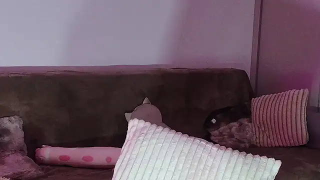 Snapshot of Eva_Millar chatting on 21, 2, 2026 Eva Millar online show from 21, 2, 2026