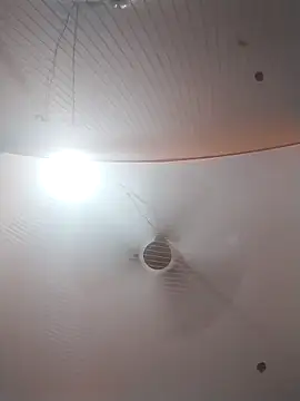 Nzfl97 online show from 30, 3, 2026