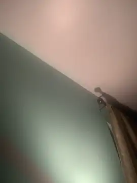 Snapshot of longhairjim chatting on 9, 2, 2025 longhairjim online show from 9, 2, 2025