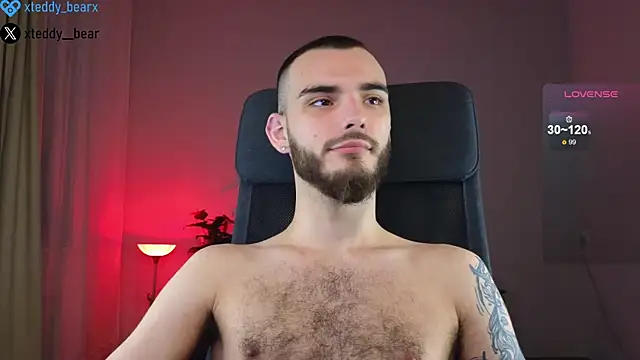 xteddy bear online show from 18, 1, 2025