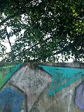 IgoramorimGG online show from 4, 4, 2026