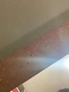 smithrosinha online show from 19, 9, 2025