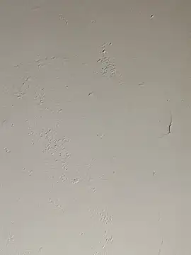 cazaperdidas online show from 17, 9, 2025