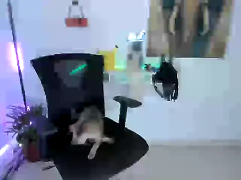 Snapshot of nairobbits chatting on 9, 10, 2025 nairobbits online show from 9, 10, 2025