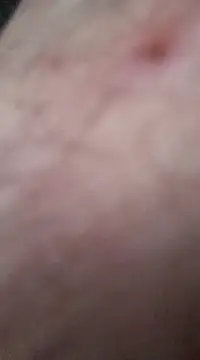 nevessartori online show from 27, 12, 2024