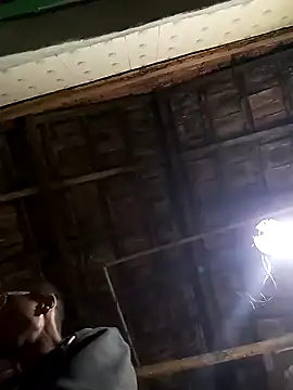 nevessartori online show from 14, 1, 2025