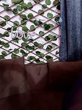 Bold-Cat online show from 7, 2, 2025