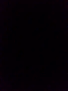 Snapshot of WrongedParvo chatting on 19, 10, 2025 WrongedParvo online show from 19, 10, 2025