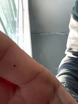 Snapshot of SmokingSloth chatting on 6, 1, 2025 SmokingSloth online show from 6, 1, 2025