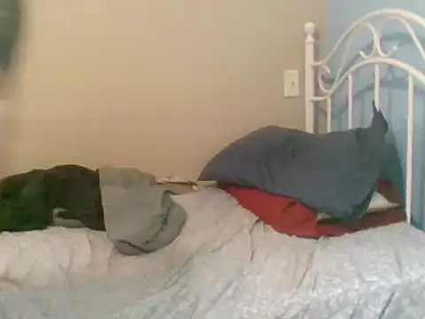 Snapshot of SmokingSloth chatting on 9, 3, 2025 SmokingSloth online show from 9, 3, 2025