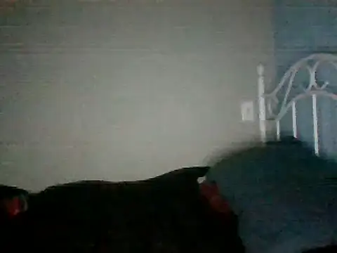 Snapshot of SmokingSloth chatting on 16, 3, 2025 SmokingSloth online show from 16, 3, 2025