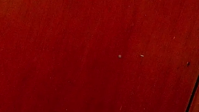 anisha x online show from 4, 10, 2025