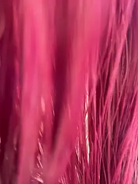 Colors-xx online show from 5, 5, 2026