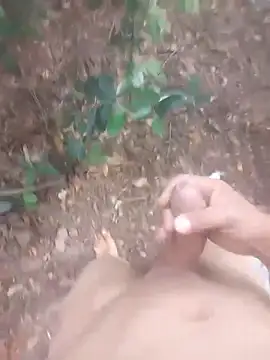 thalles01464 online show from 15, 2, 2026