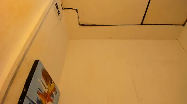 janestones online show from 12, 1, 2025