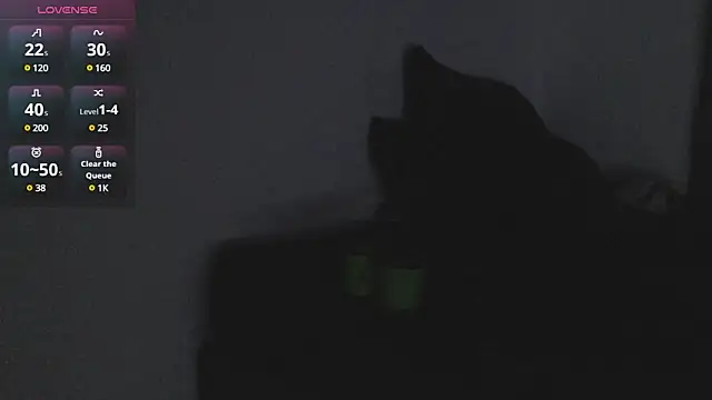 Snapshot of maxi_rogger18 chatting on 21, 12, 2024 maxi rogger18 online show from 21, 12, 2024