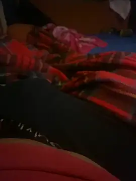 Snapshot of AdA-LoVe chatting on 28, 12, 2024 AdA-LoVe online show from 28, 12, 2024