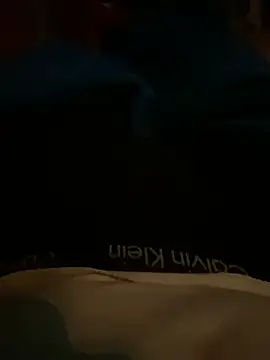 Snapshot of AdA-LoVe chatting on 1, 2, 2025 AdA-LoVe online show from 1, 2, 2025