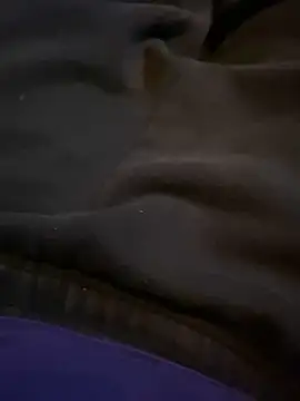 Snapshot of AdA-LoVe chatting on 20, 2, 2025 AdA-LoVe online show from 20, 2, 2025