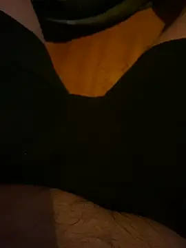 Snapshot of AdA-LoVe chatting on 13, 3, 2025 AdA-LoVe online show from 13, 3, 2025