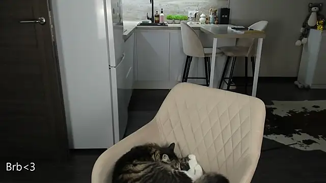 Snapshot of nilliluv chatting on 19, 3, 2026 nilliluv online show from 19, 3, 2026