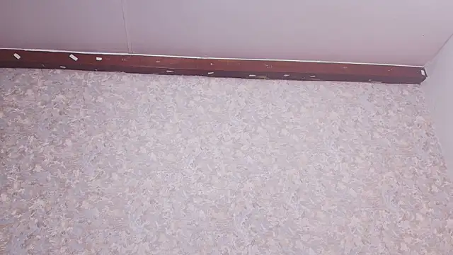 Snapshot of nicol_f chatting on 12, 3, 2025 nicol f online show from 12, 3, 2025