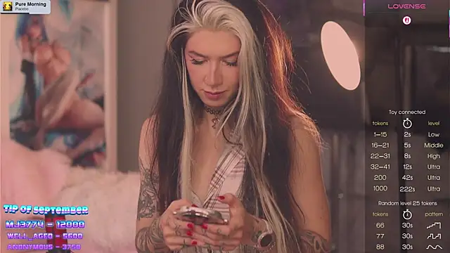 Snapshot of Virtual_Wafu chatting on 19, 9, 2025 Virtual Wafu online show from 19, 9, 2025