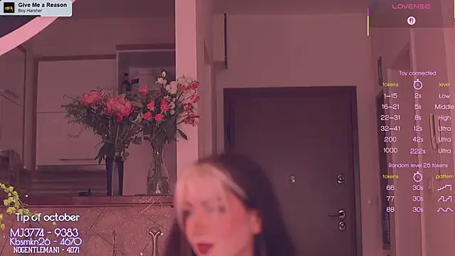 Snapshot of Virtual_Wafu chatting on 2, 11, 2025 Virtual Wafu online show from 2, 11, 2025