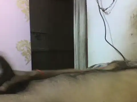 Snapshot of Desi_GfBf chatting on 3, 3, 2025 Desi GfBf online show from 3, 3, 2025