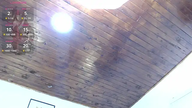 Snapshot of samy_l chatting on 13, 12, 2024 samy l online show from 13, 12, 2024