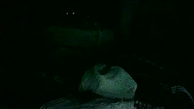 Snapshot of DI4MOND_FIR3 chatting on 18, 11, 2025 DI4MOND FIR3 online show from 18, 11, 2025