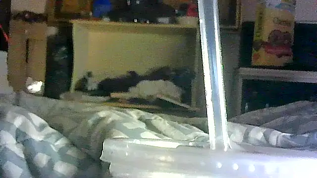 Snapshot of DI4MOND_FIR3 chatting on 17, 4, 2026 DI4MOND FIR3 online show from 17, 4, 2026