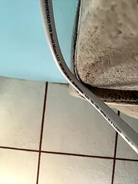 dulce celeste15 online show from 7, 10, 2025