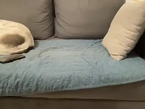 4small4inchlol online show from 20, 2, 2026