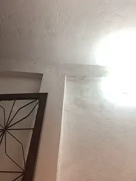 morenonicexxx online show from 19, 3, 2025