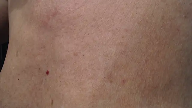 Snapshot of Toy-Daddy chatting on 20, 11, 2025 Toy-Daddy online show from 20, 11, 2025