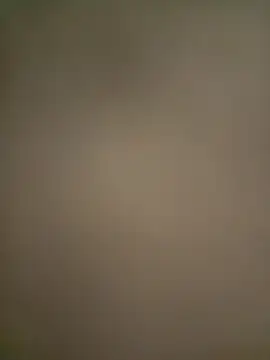 Mona-Singh online show from 17, 3, 2025