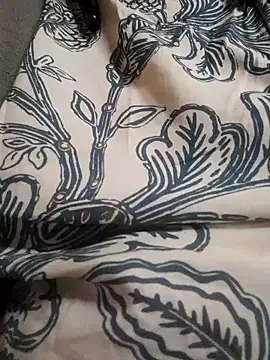 Snapshot of Shikhasexy34 chatting on 9, 1, 2026 Shikhasexy34 online show from 9, 1, 2026