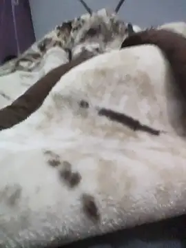 iaparna online show from 16, 12, 2025