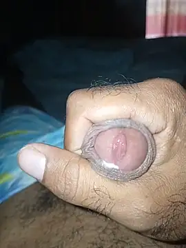 taylorWiiz online show from 8, 1, 2026