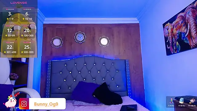 Bunny O online show from 4, 3, 2025