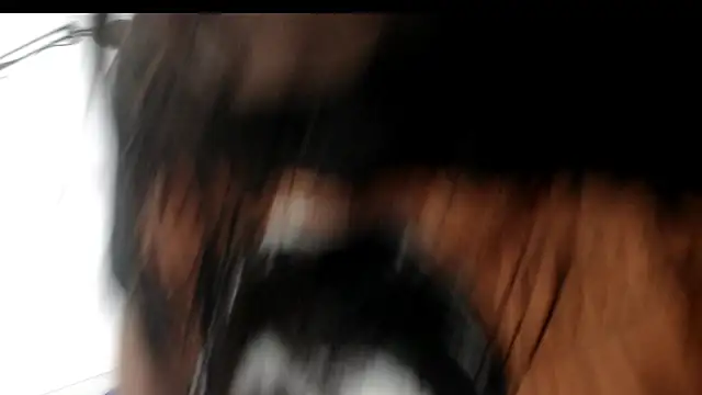 Snapshot of evaleribigtits18 chatting on 24, 11, 2025 evaleribigtits18 online show from 24, 11, 2025