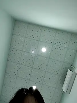 -Zelda- online show from 7, 11, 2025